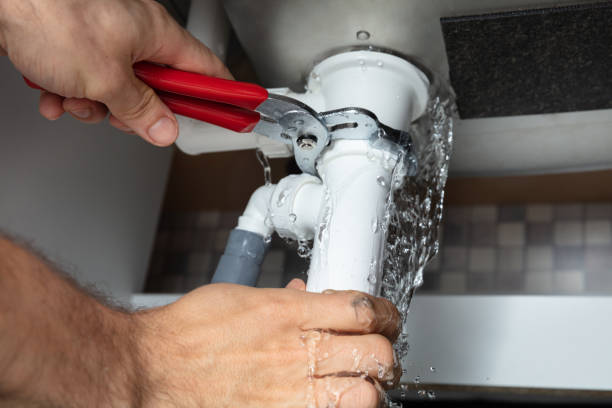 Best 24-hour water damage restoration  in Rosenhayn, NJ