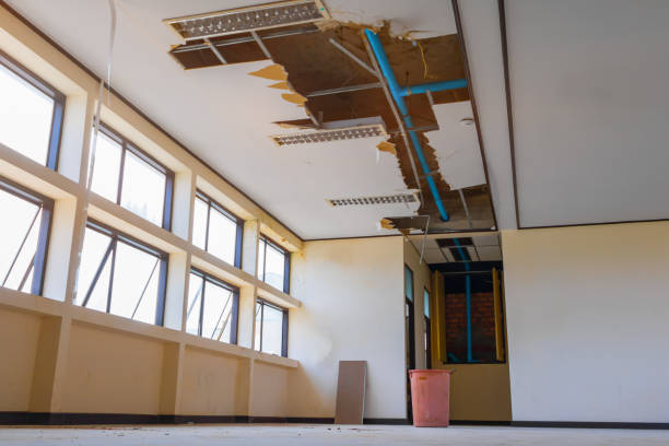 Best 24/7 water damage repair  in Rosenhayn, NJ