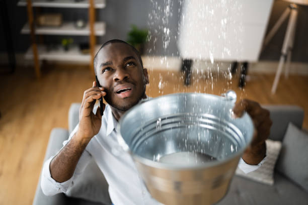 Best Water damage contractors near me  in Rosenhayn, NJ