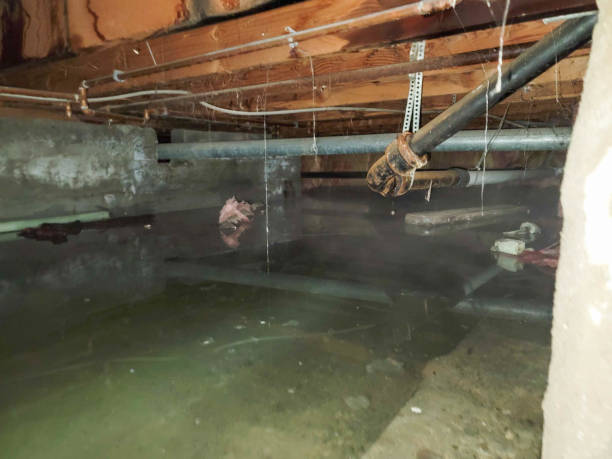Professional Water damage restoration in Rosenhayn, NJ