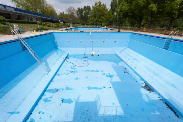 Best Basement water damage restoration  in Rosenhayn, NJ