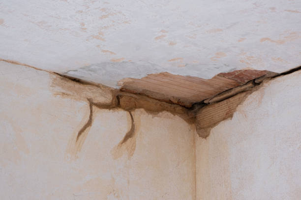  Rosenhayn, NJ Water damage restoration Pros