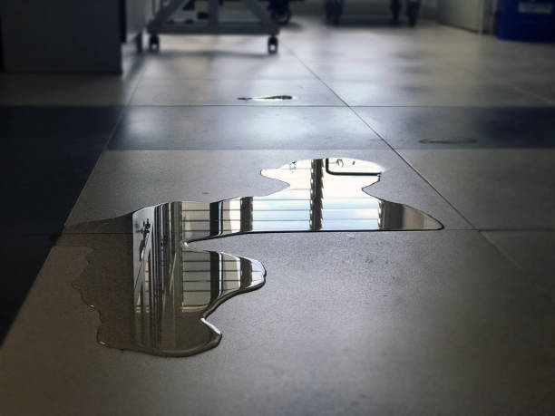 Best Carpet water damage restoration  in Rosenhayn, NJ