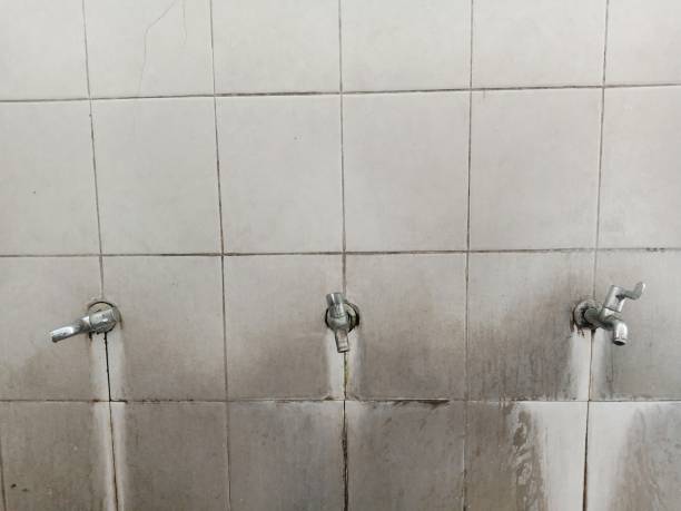 Best Water damage cleanup near me  in Rosenhayn, NJ