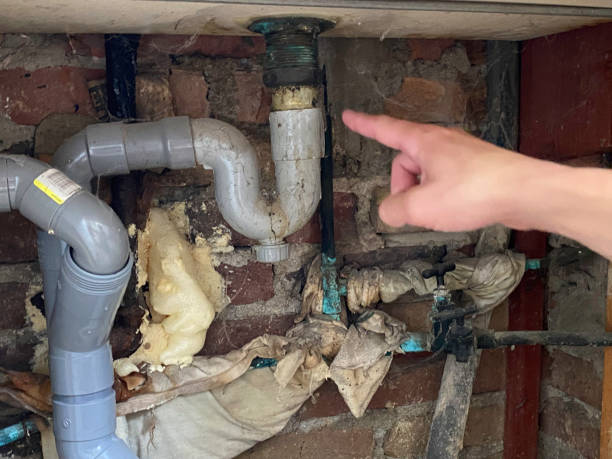Best Commercial water damage restoration  in Rosenhayn, NJ