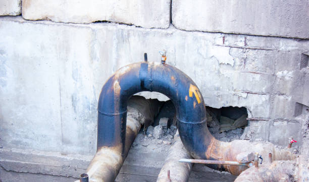 Best Sewage cleanup and water damage restoration  in Rosenhayn, NJ