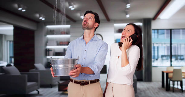 Best Water damage restoration near me  in Rosenhayn, NJ