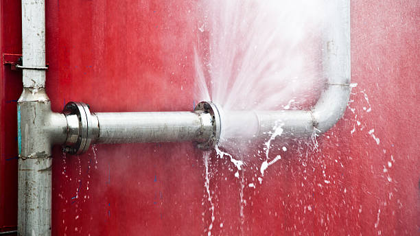 Best Emergency water damage restoration  in Rosenhayn, NJ